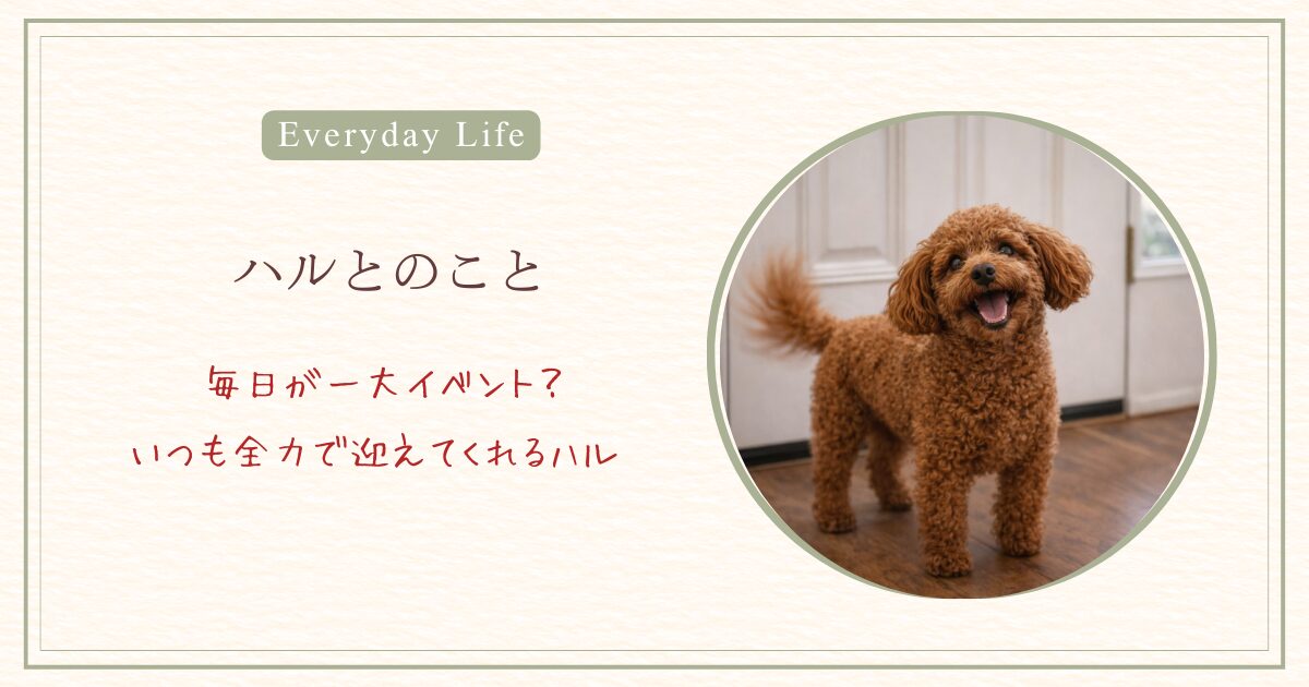 毎日全力で迎えてくれるハル